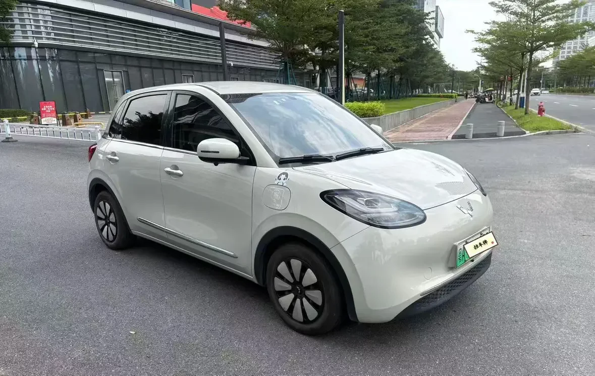 Wuling Bingo