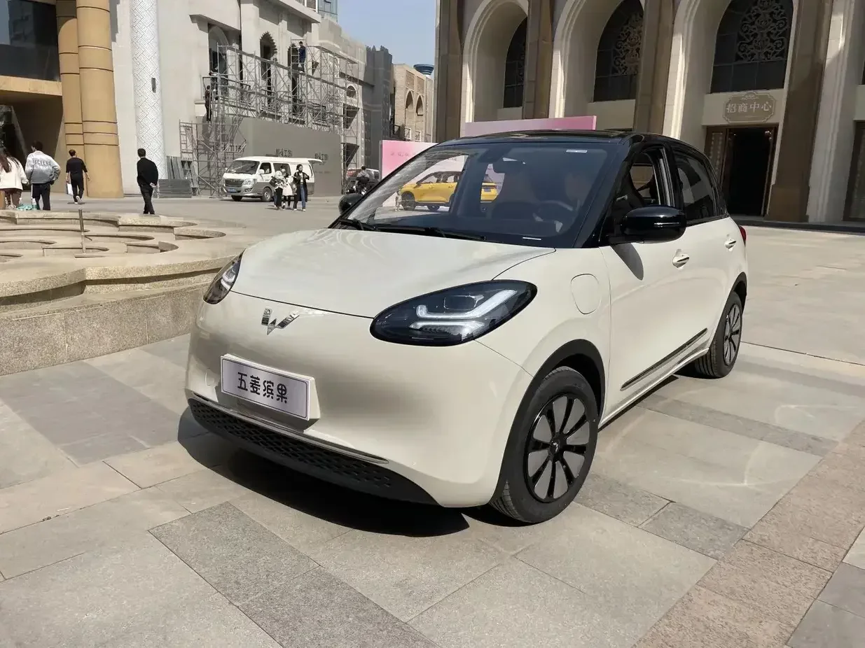 Wuling Bingo
