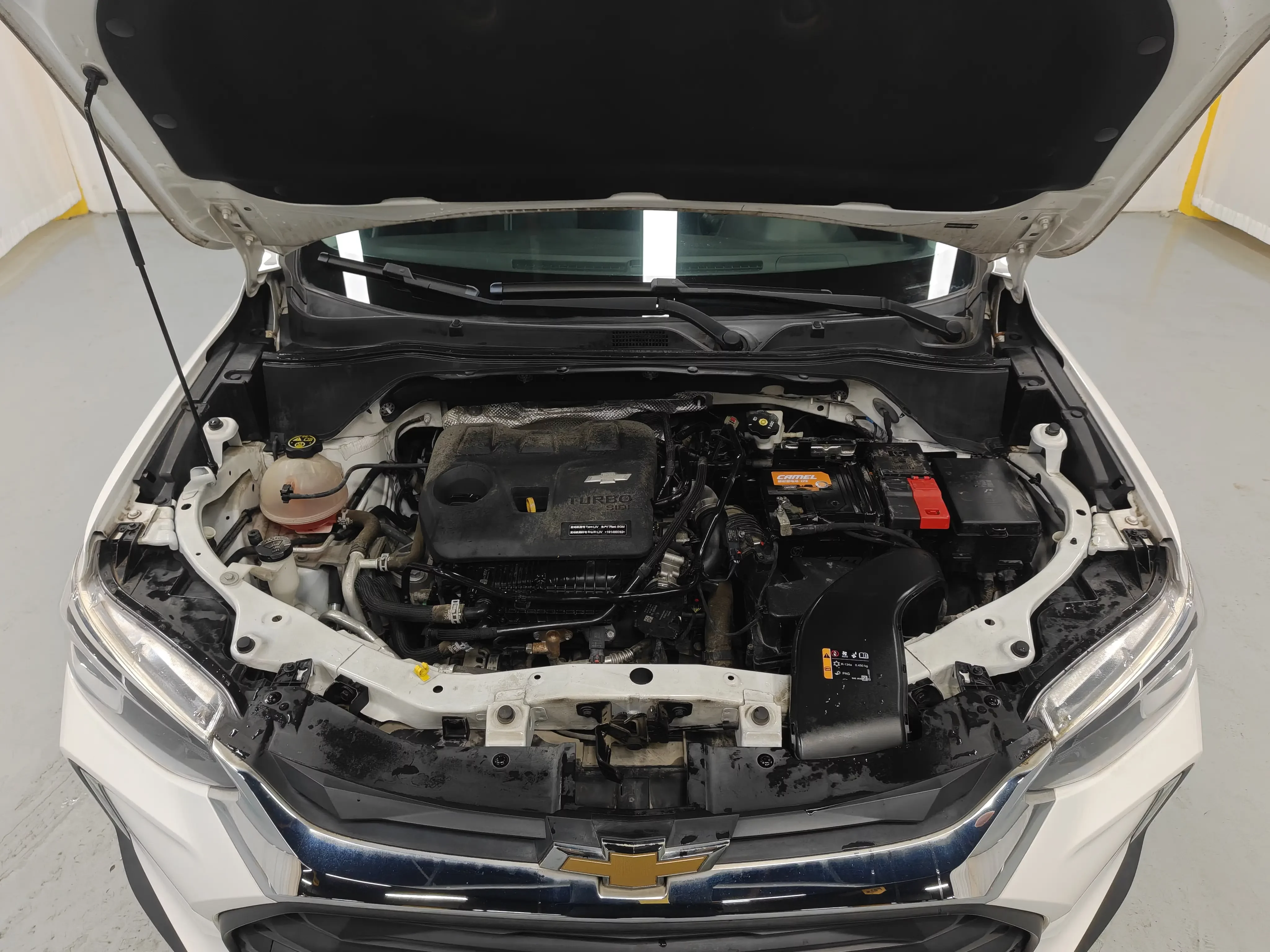 catalog-car-10