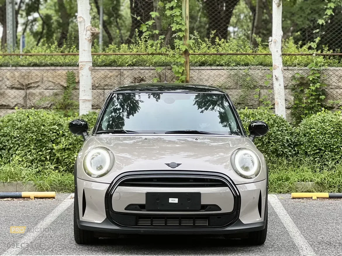 MINI MINI