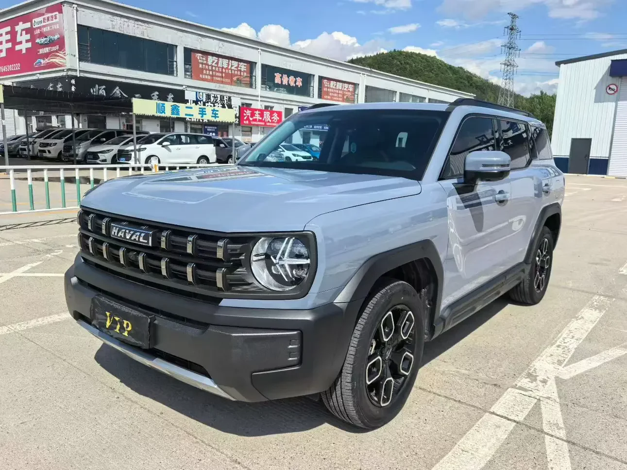 Haval cool dog