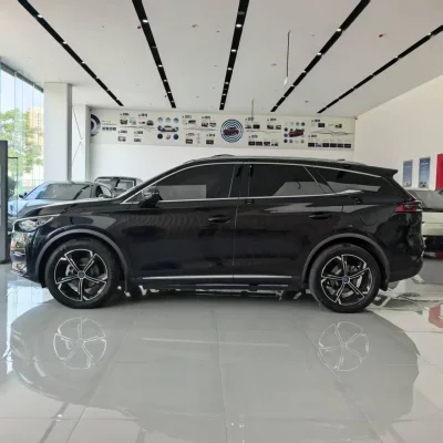 BYD Tang DM