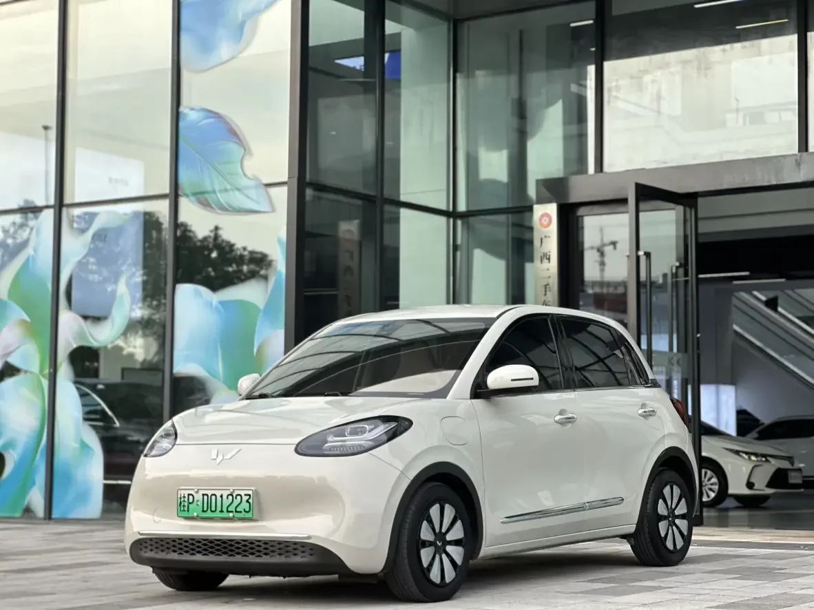 Wuling Bingo