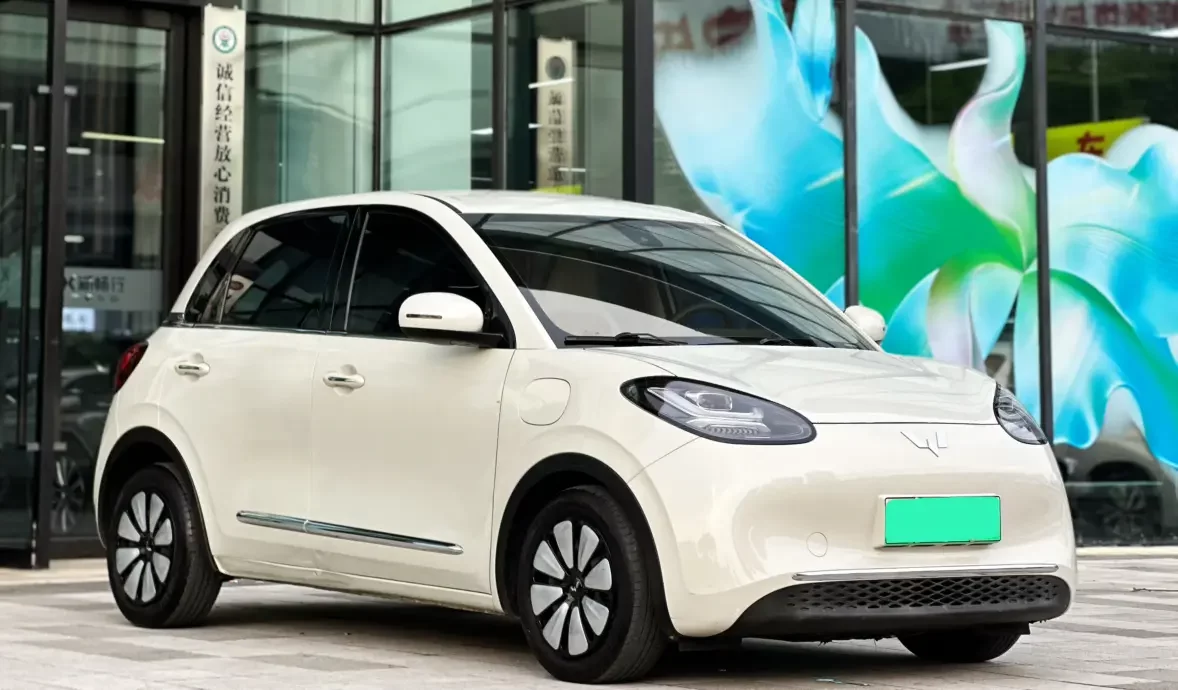 Wuling Bingo
