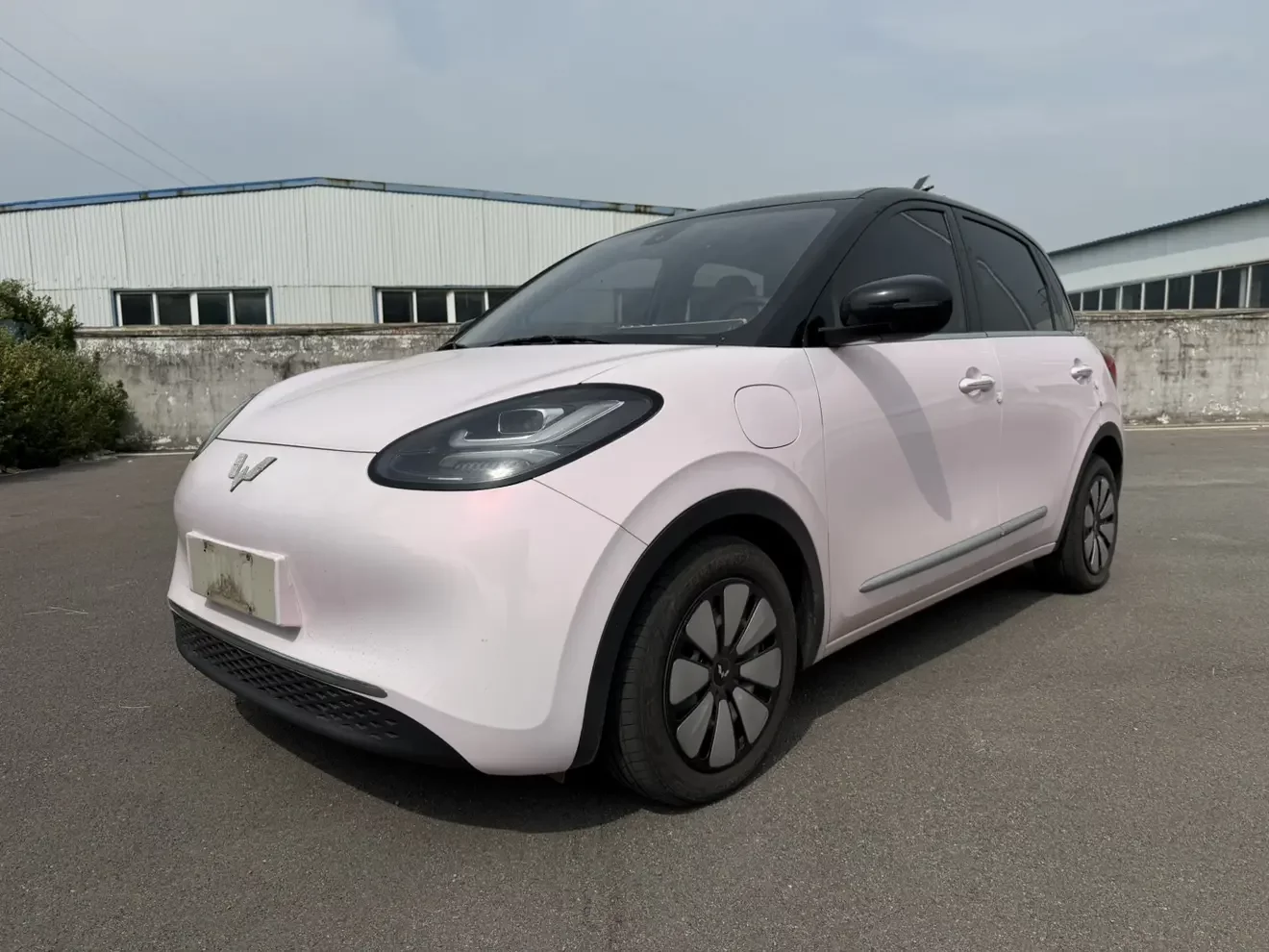 Wuling Bingo
