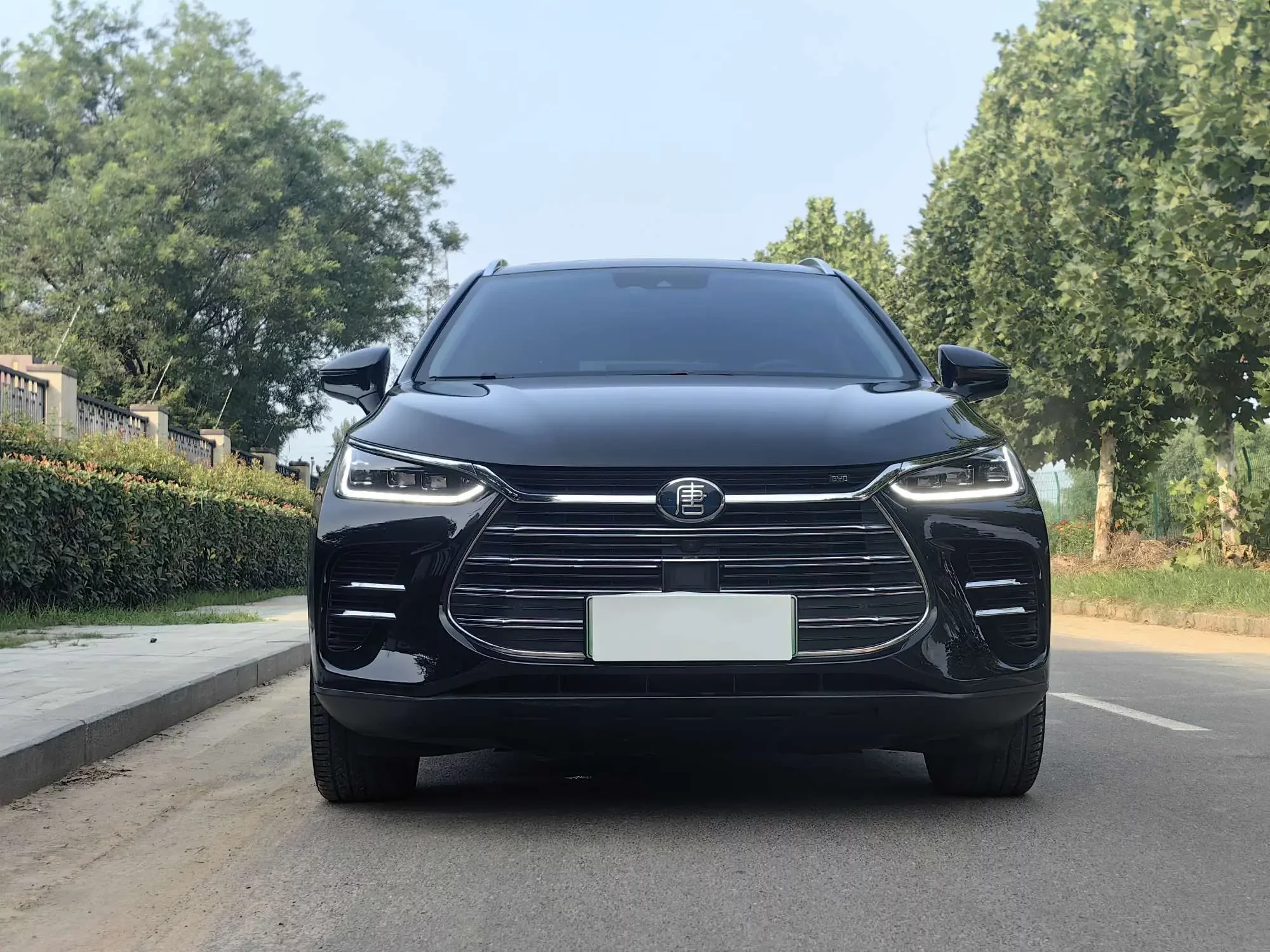 BYD Tang DM