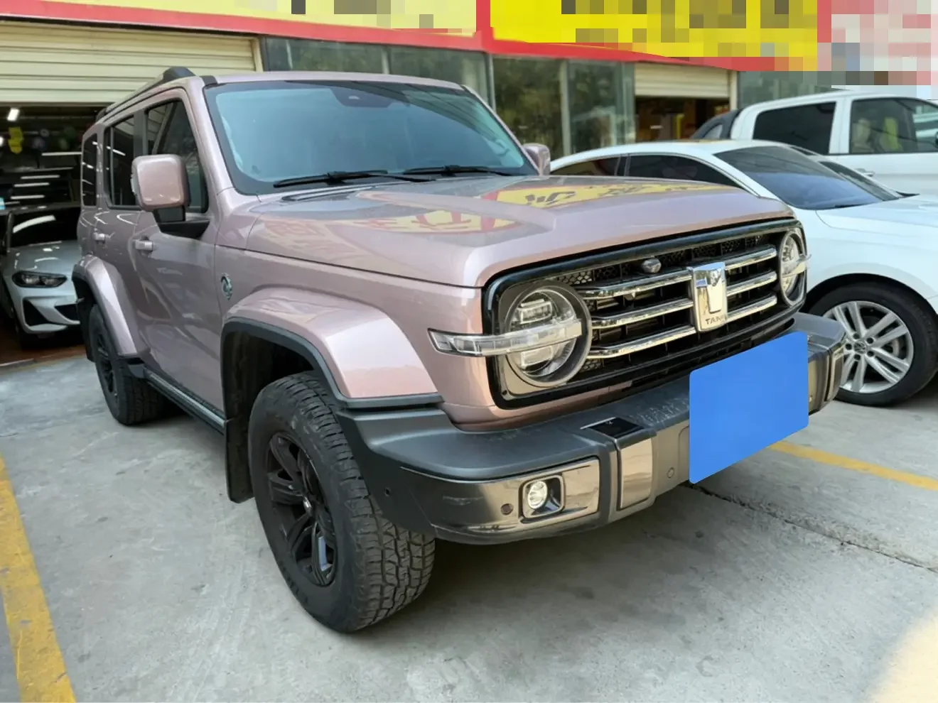 Tank 300