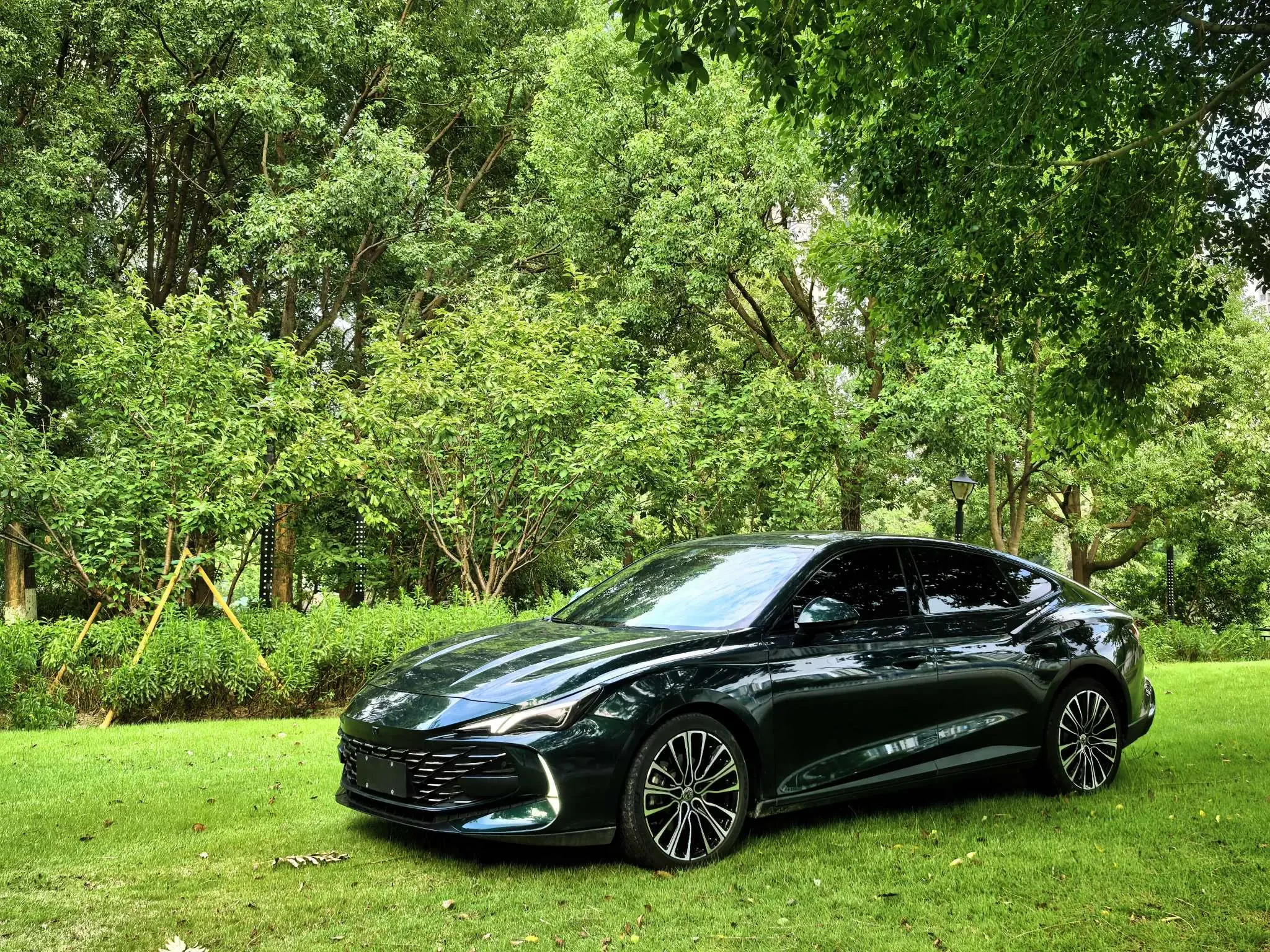 MG 7