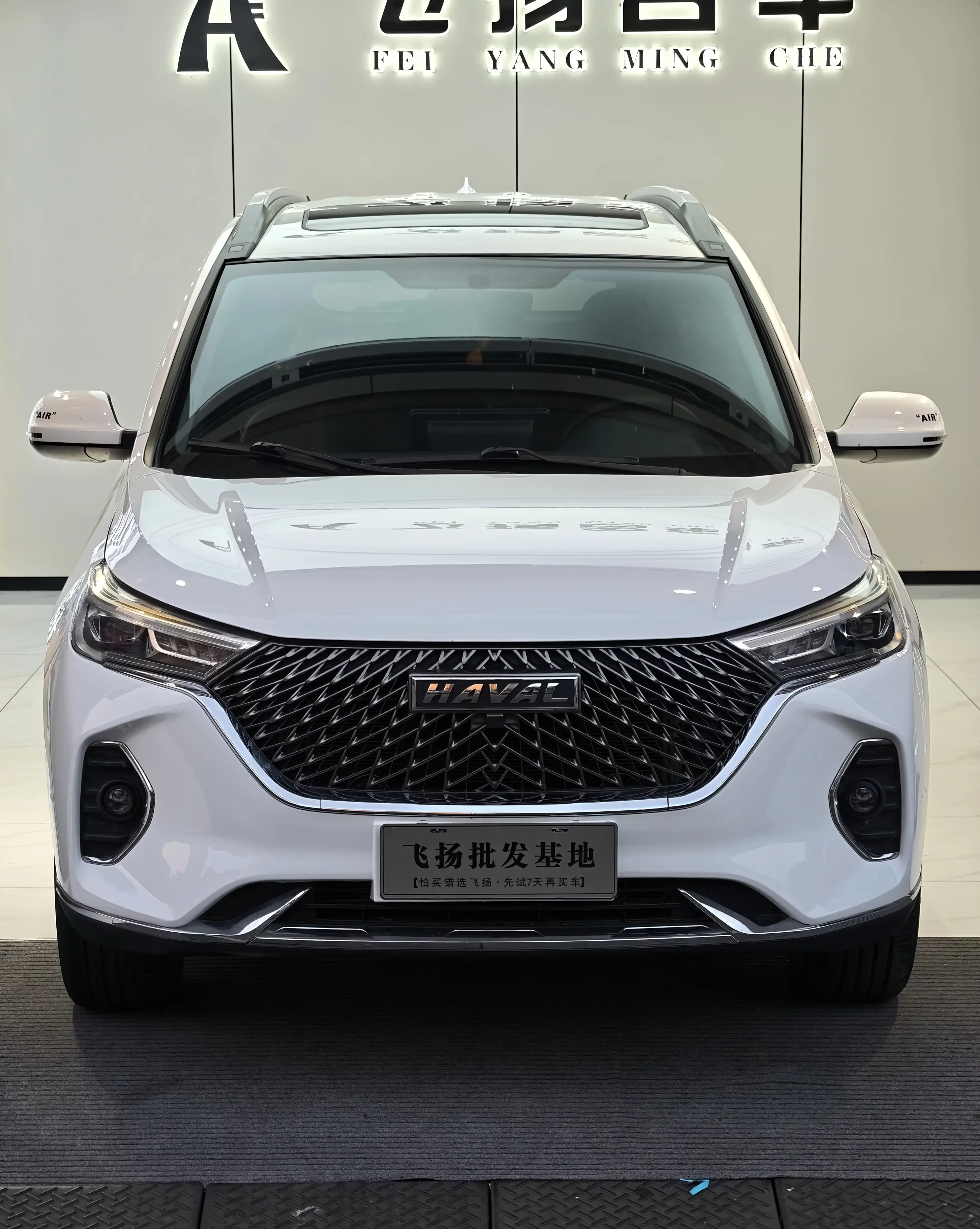 Haval M6