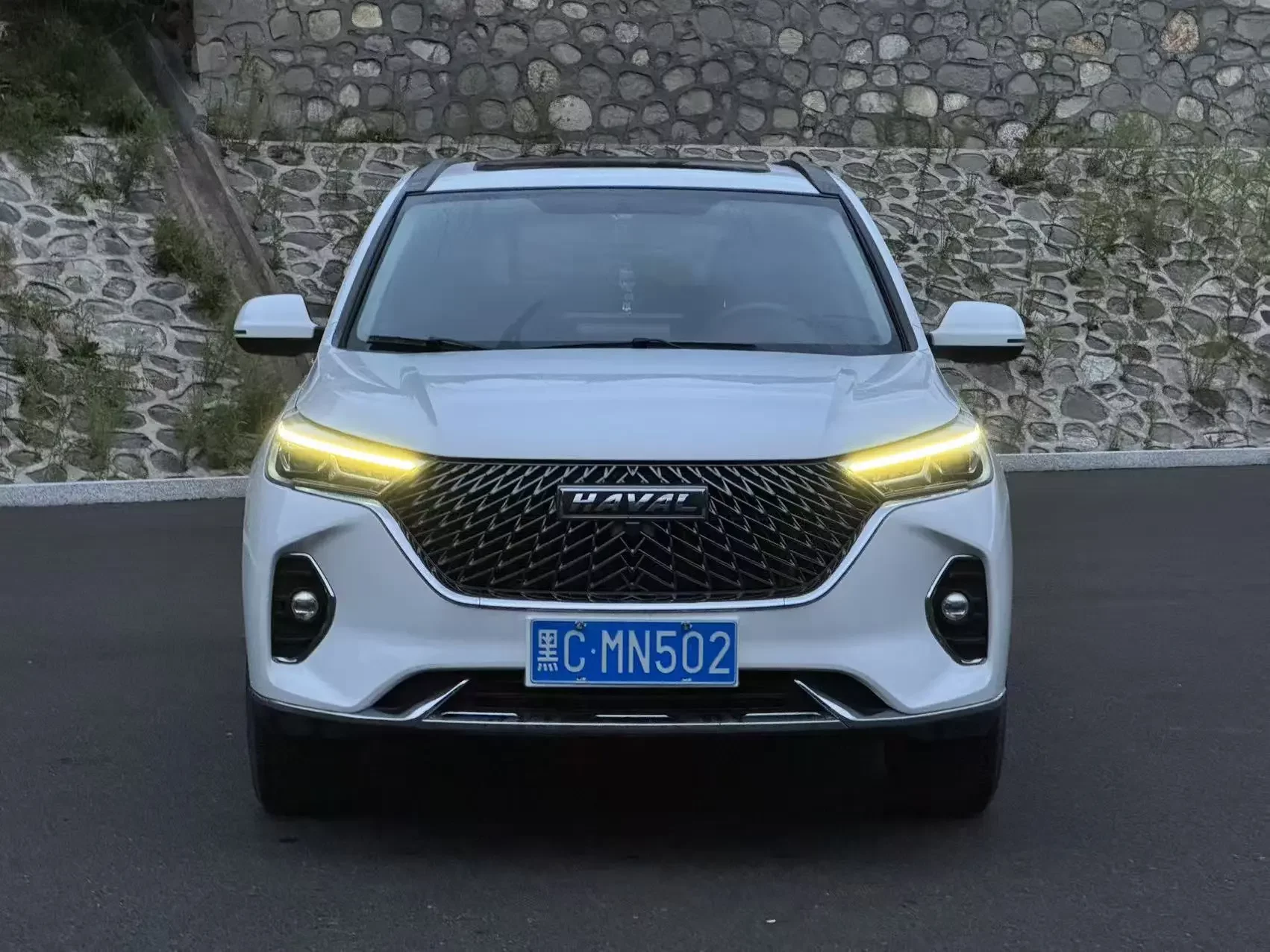 Haval M6