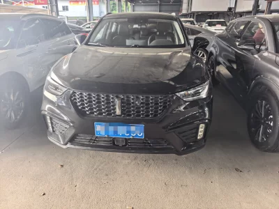 Wey Wei brand VV5
