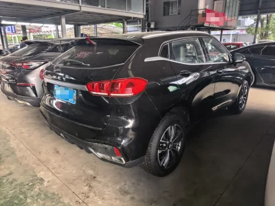 Wey Wei brand VV5