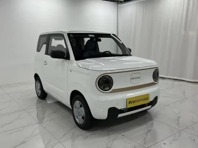 Geely Panda