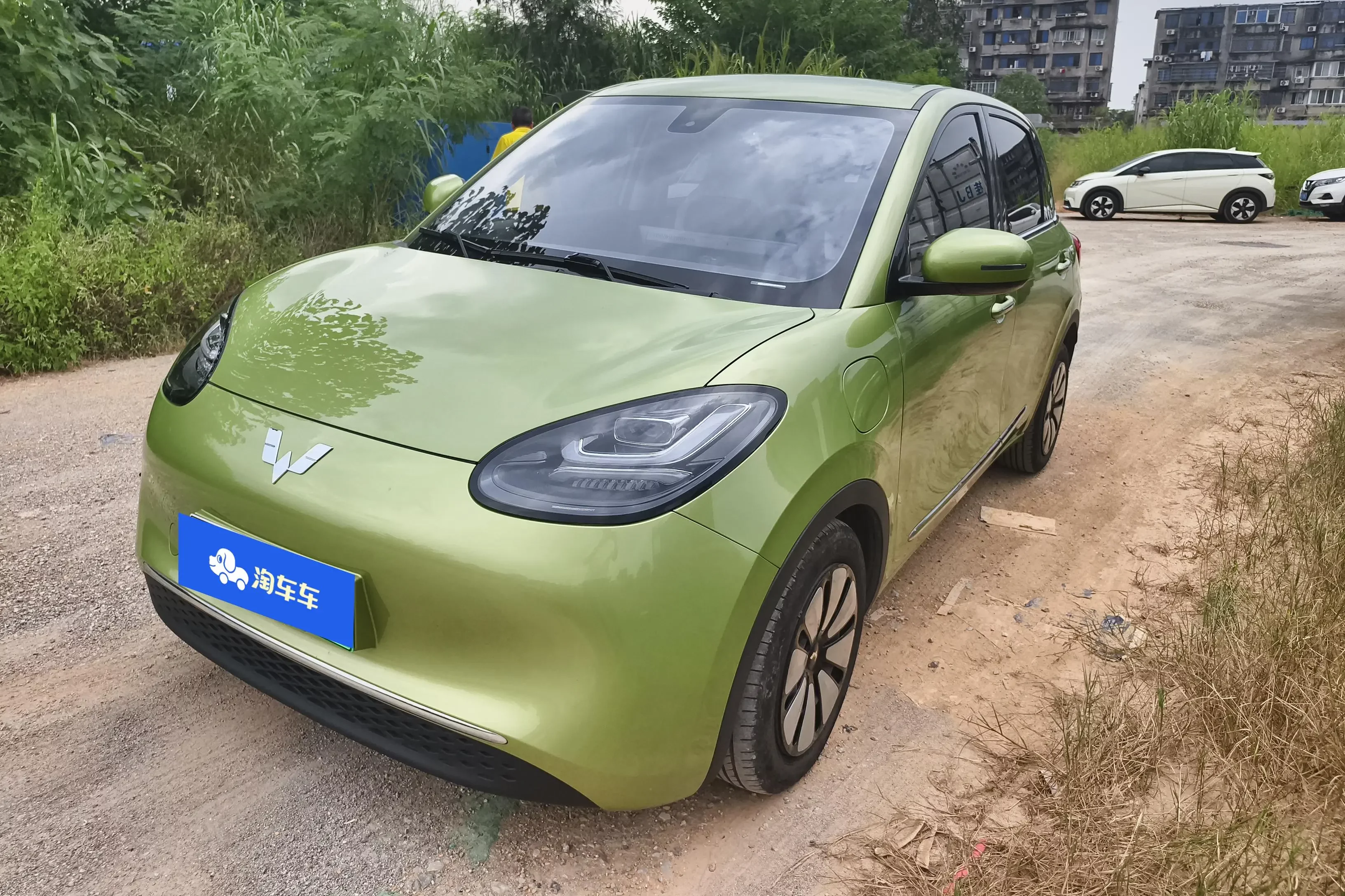 Wuling Bingo