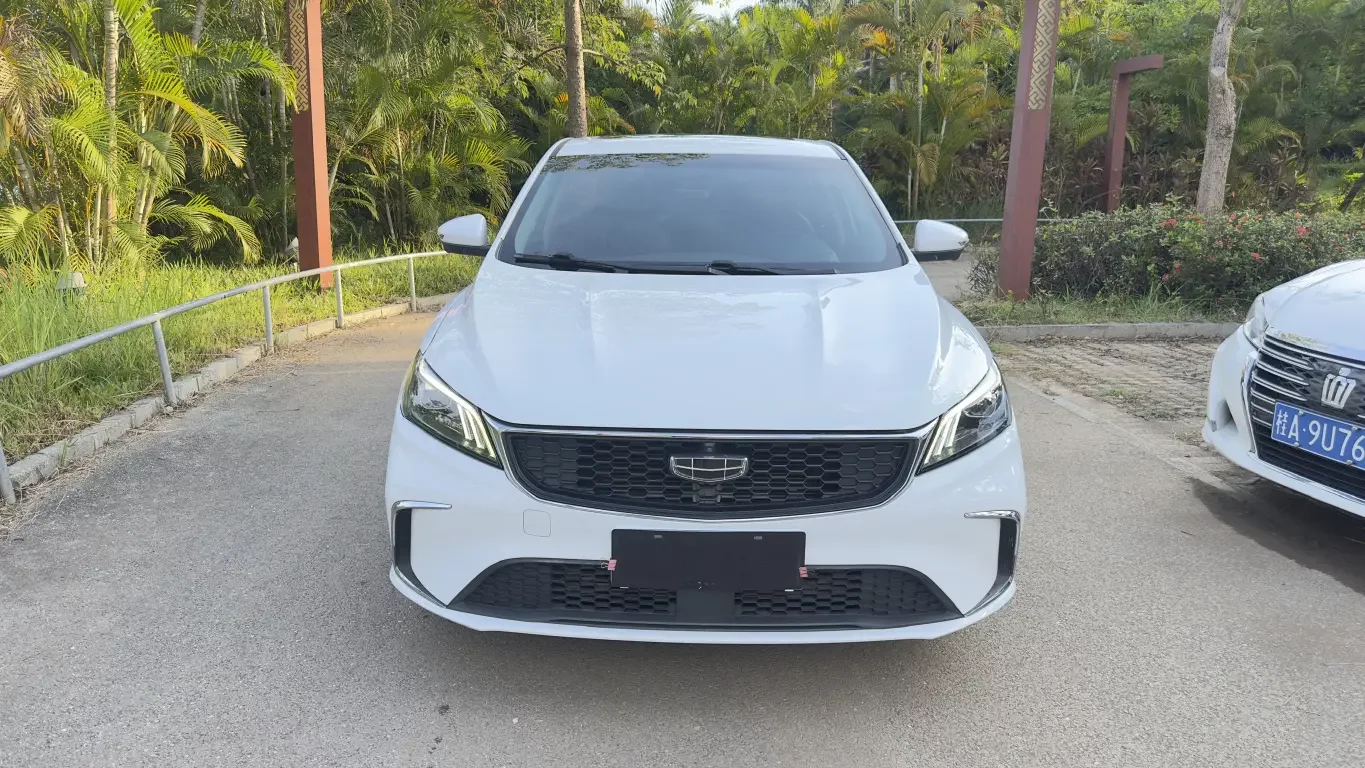 Geely Binrui