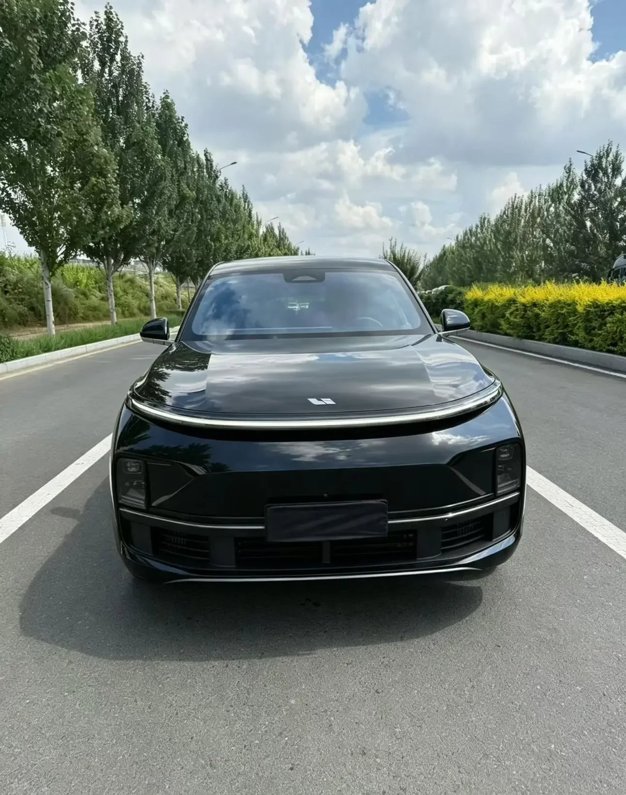 Li L9 (Ideal L9)
