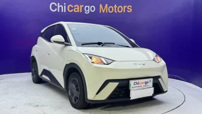 BYD Seagull