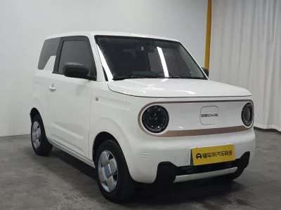 Geely panda