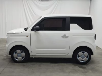 Geely panda