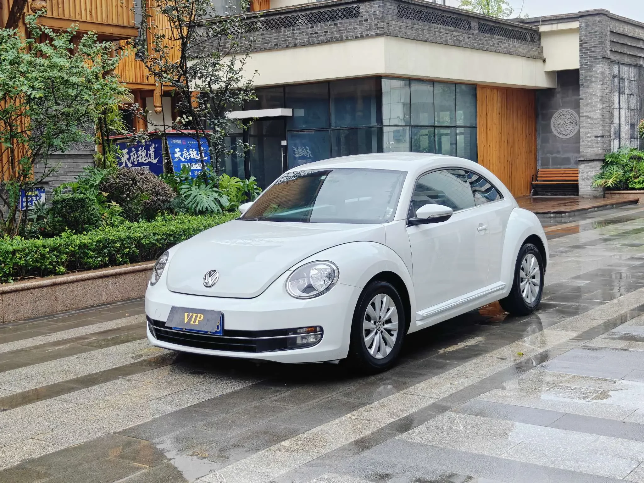 Volkswagen Beetle