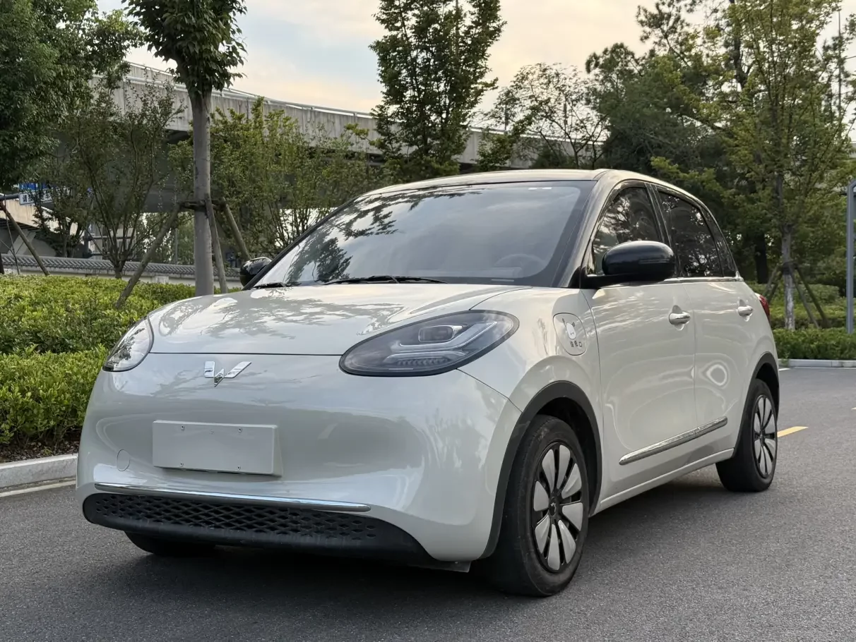 Wuling Bingo