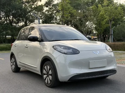 Wuling Bingo