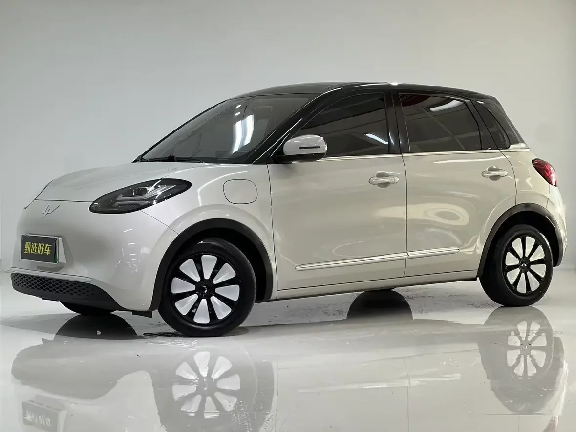 Wuling Bingo