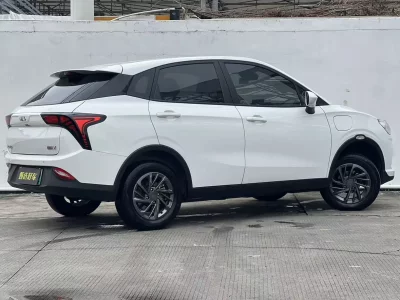 NETA V