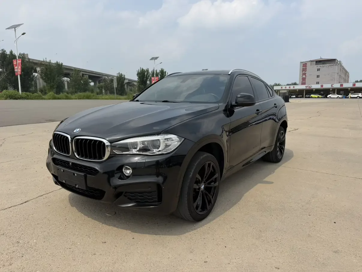 BMW X6