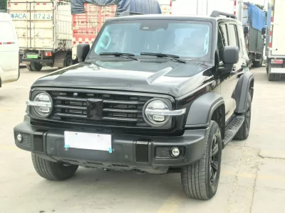TANK 300