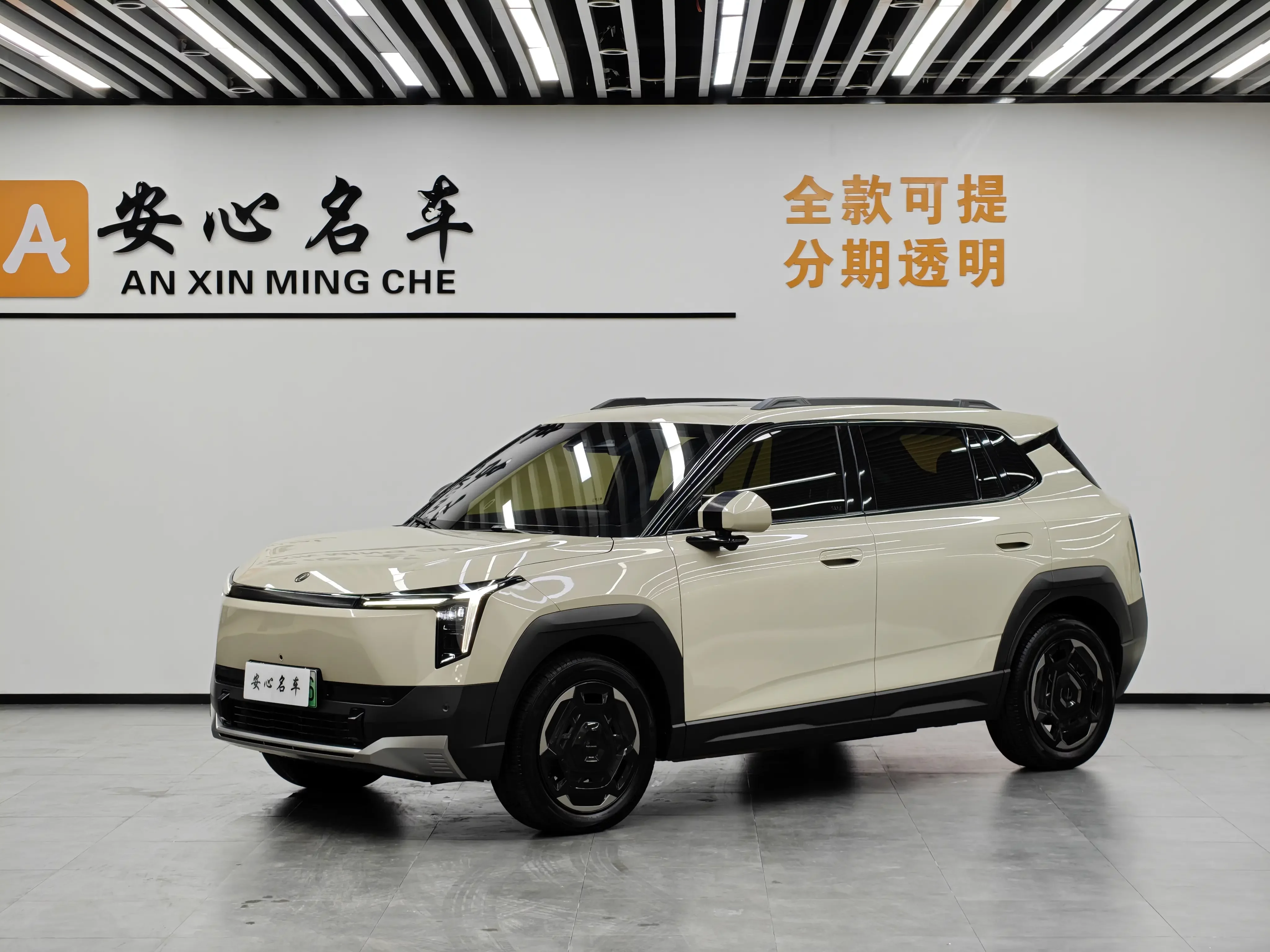 Dongfeng Nano 06