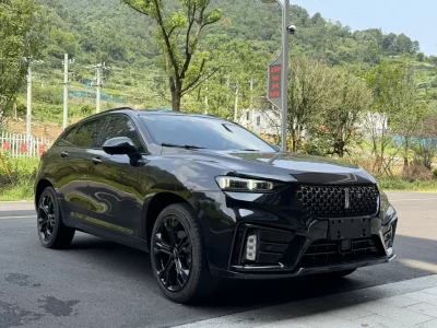 Wey Wei brand VV7