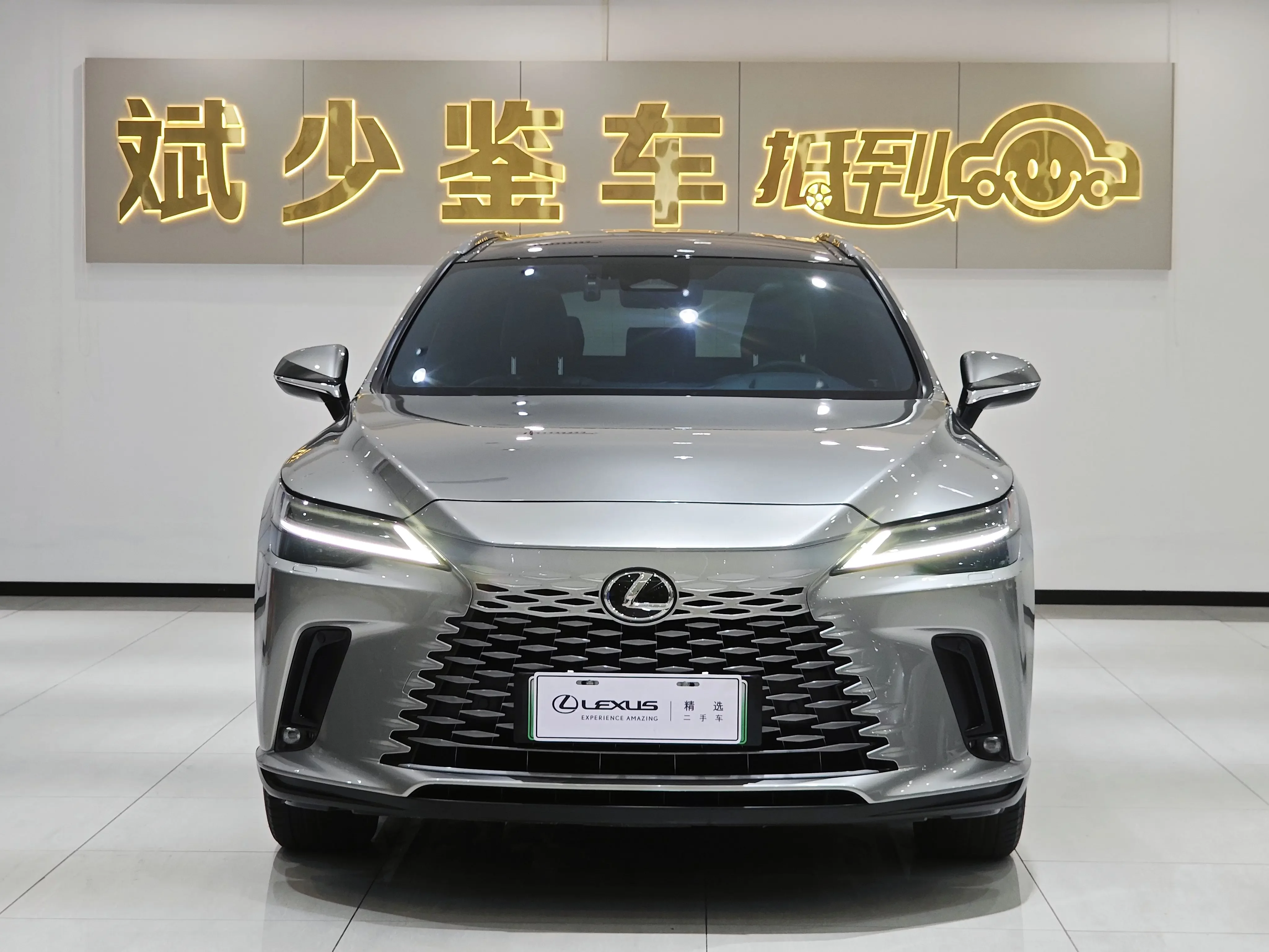 Lexus RX PHEV