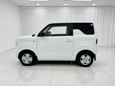 Geely Panda