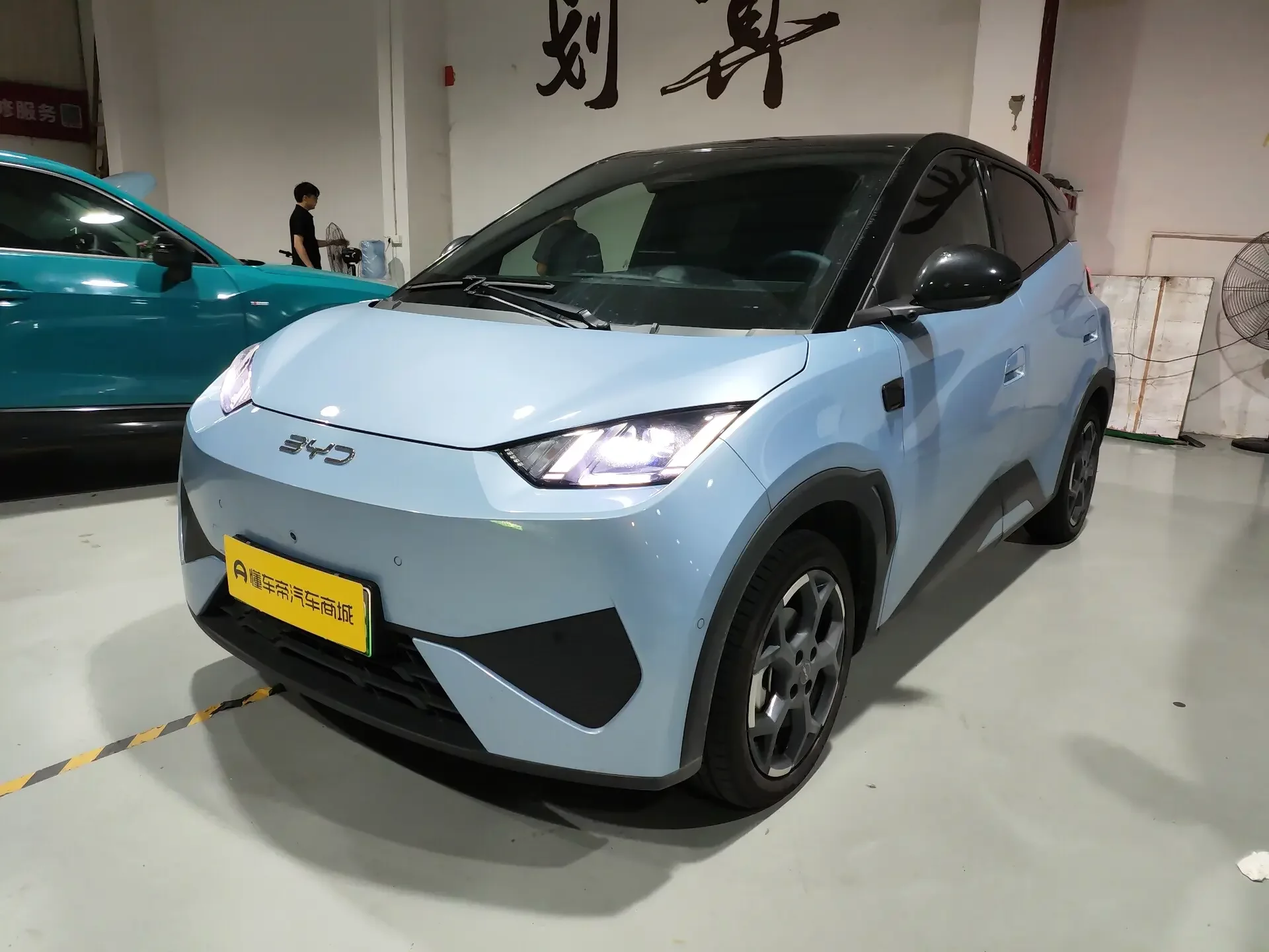 BYD seagull