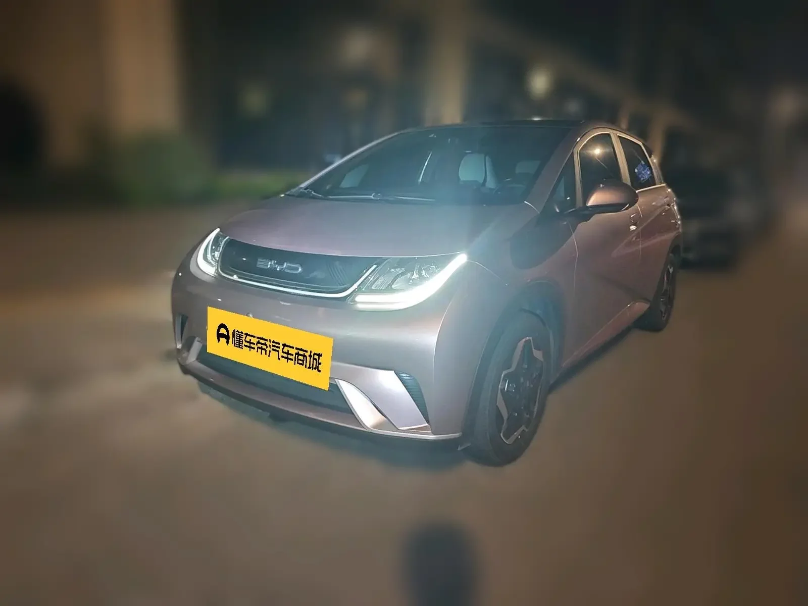 BYD dolphin