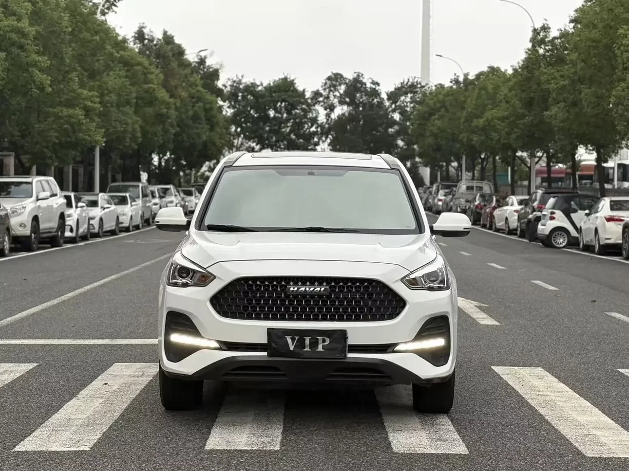 Haval M6