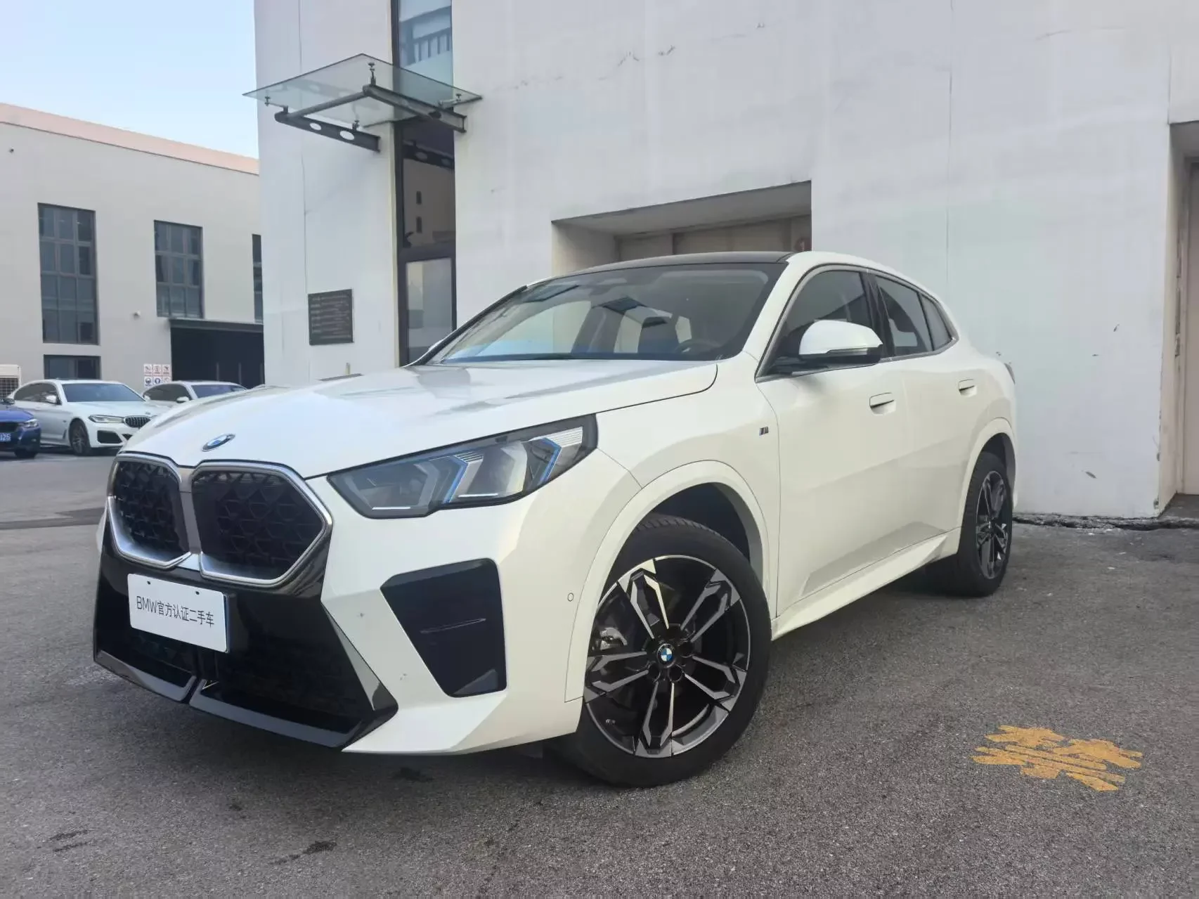 BMW X2