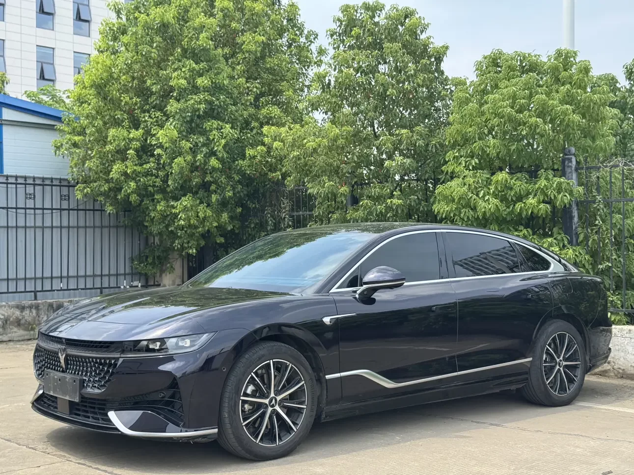 Voyah Passion PHEV