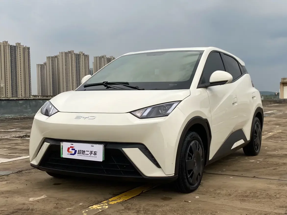BYD seagull