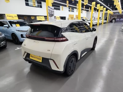 BYD Seagull