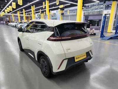 BYD Seagull