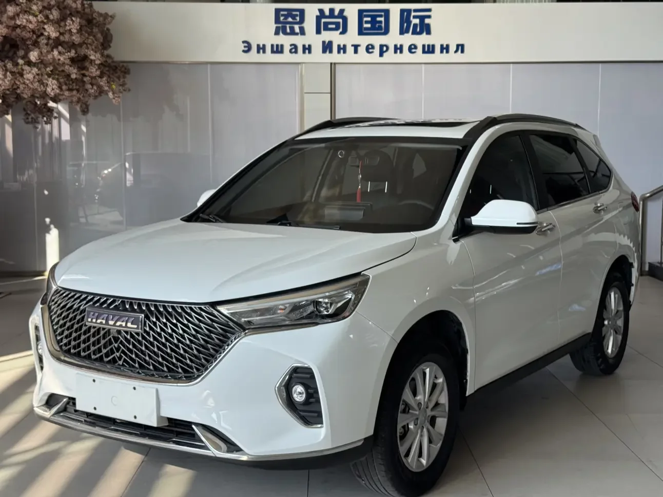 Haval M6