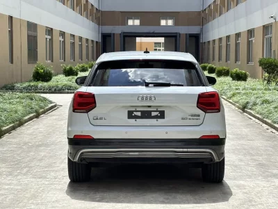 Audi Q2L e-tron