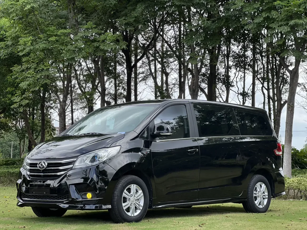 Datong Maxus G10