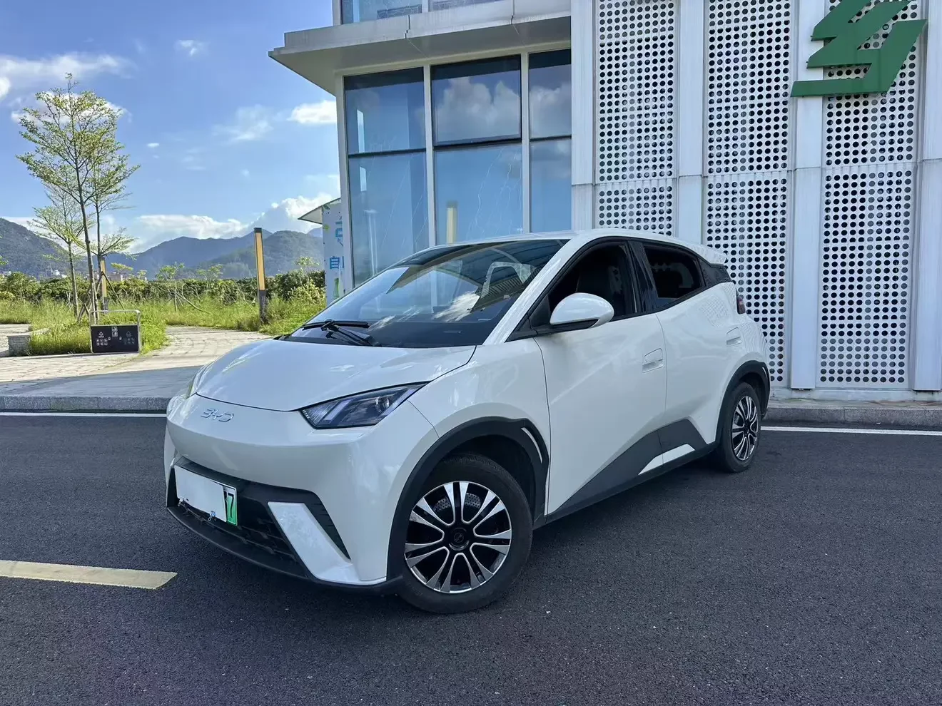 BYD seagull