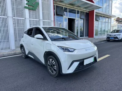 BYD Seagull