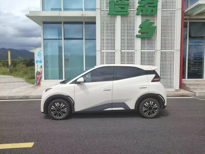 BYD Seagull