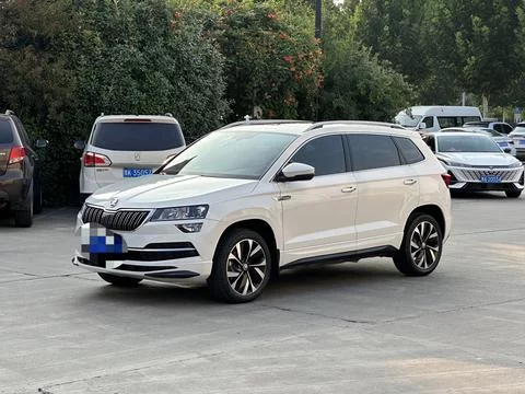 Skoda Karoq  из Китая