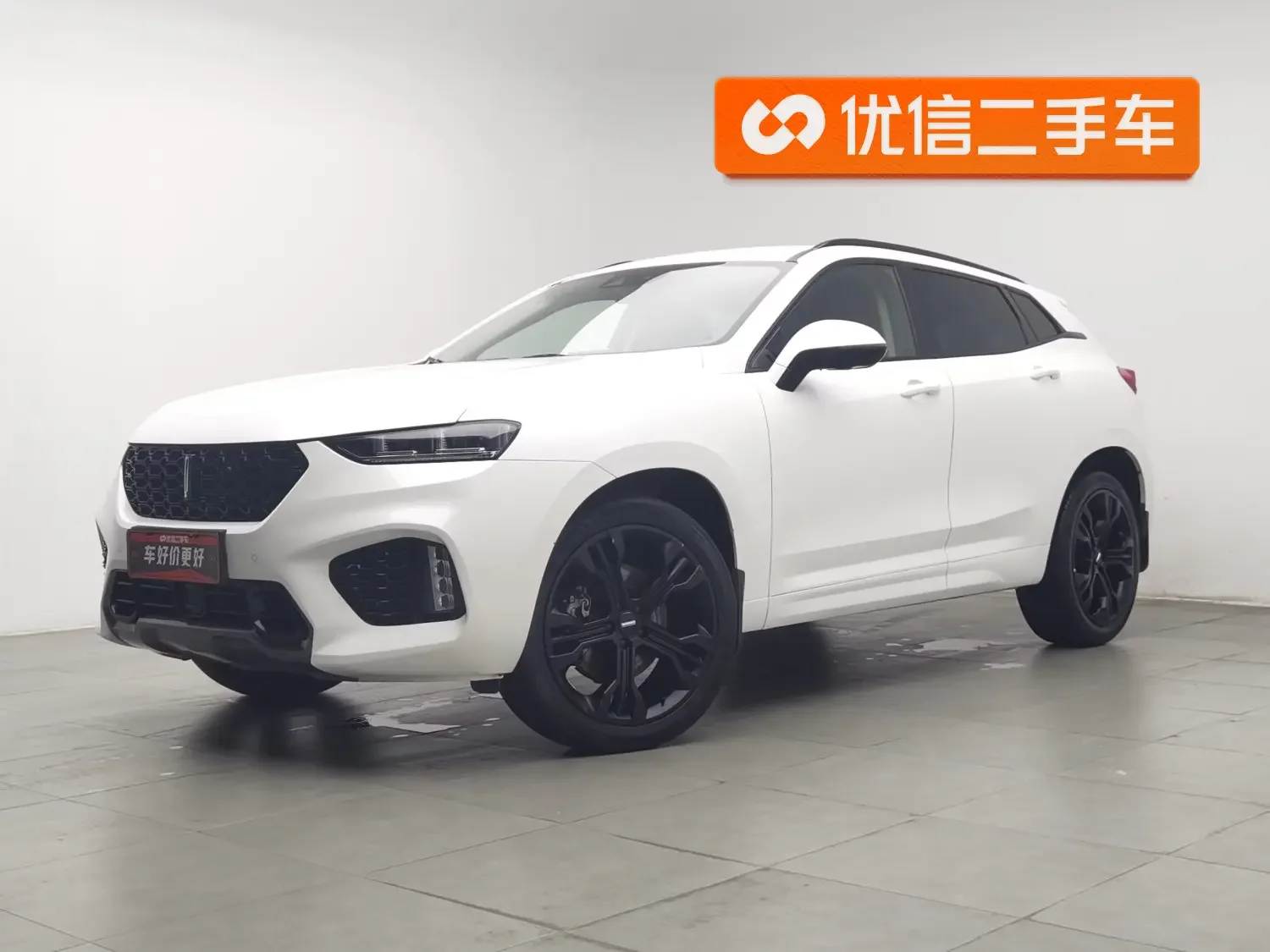 Wey Wei brand VV7